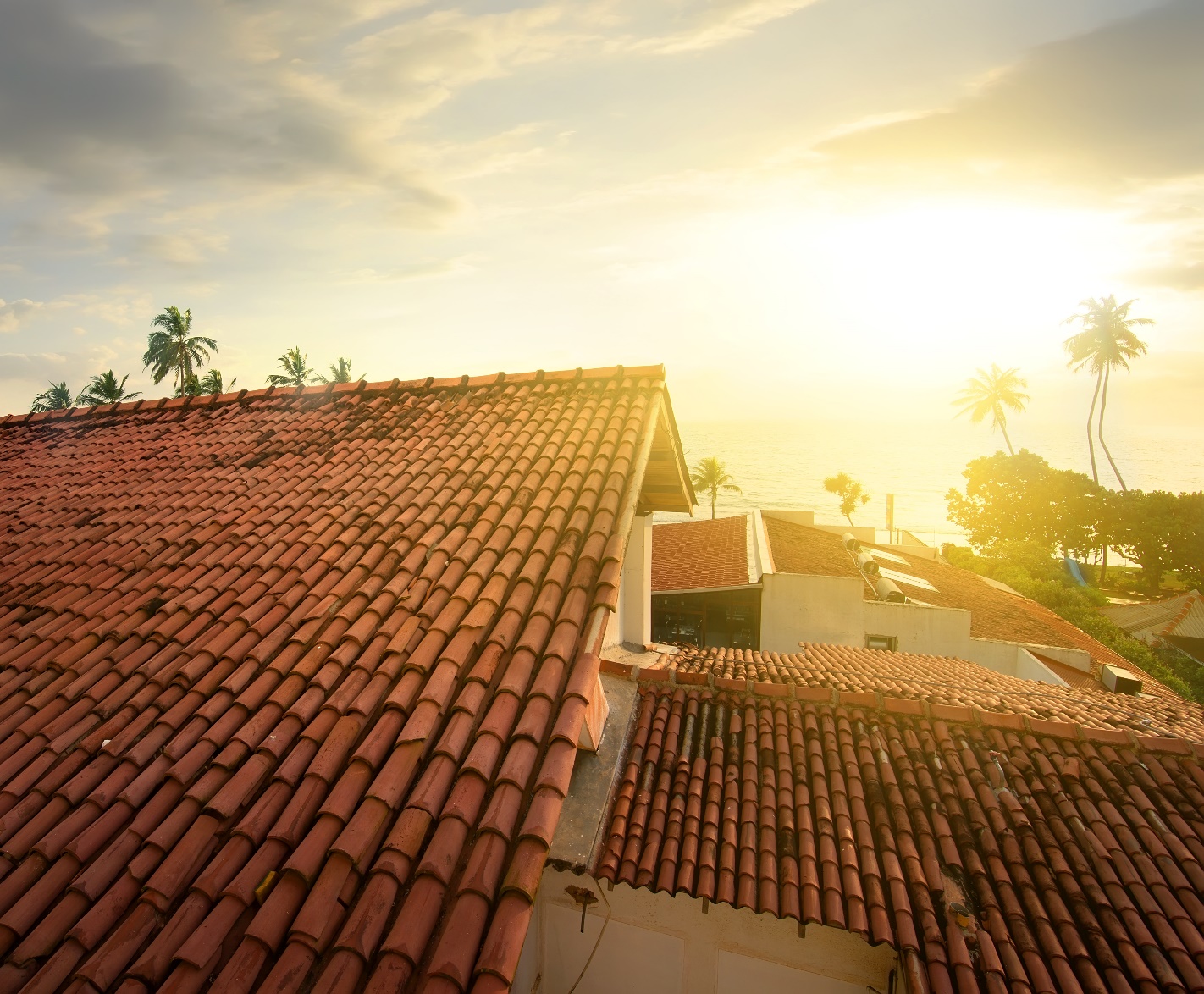 A roof in need of La Habra Heights roof inspection services. 