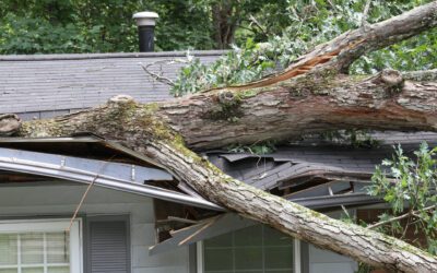 How Storm Damage Roof Repair Can Boost Your Home’s Aesthetics