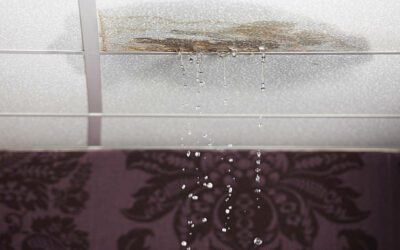 Signs of a Leaky Roof: How to Spot Trouble Early